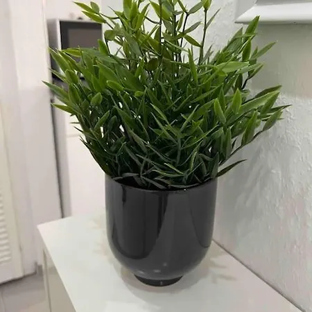 Apartament Frisch Sanierte 2 Raum Suedstadt Hanower